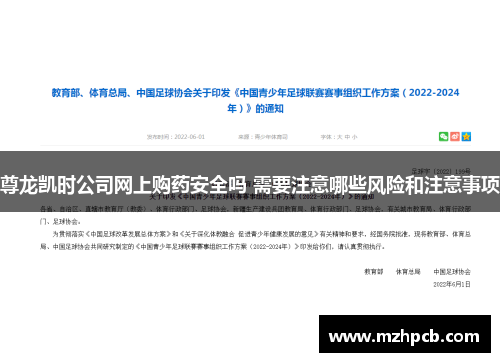 尊龙凯时公司网上购药安全吗 需要注意哪些风险和注意事项