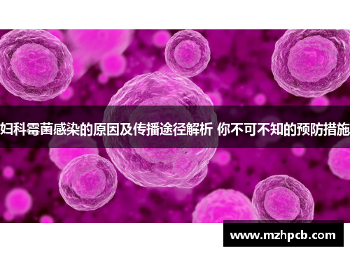 妇科霉菌感染的原因及传播途径解析 你不可不知的预防措施