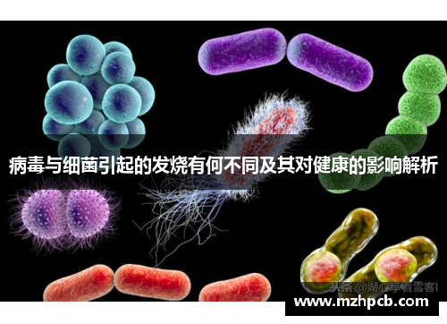 病毒与细菌引起的发烧有何不同及其对健康的影响解析